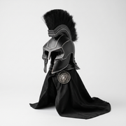 Agameownon — The Spartan Cat Helmet