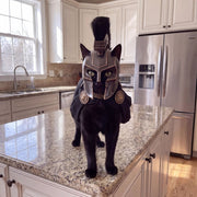 Agameownon — The Spartan Cat Helmet