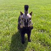 Agameownon — The Spartan Cat Helmet